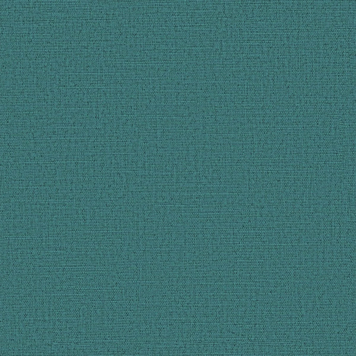 AMAZON | Échantillon de tissu