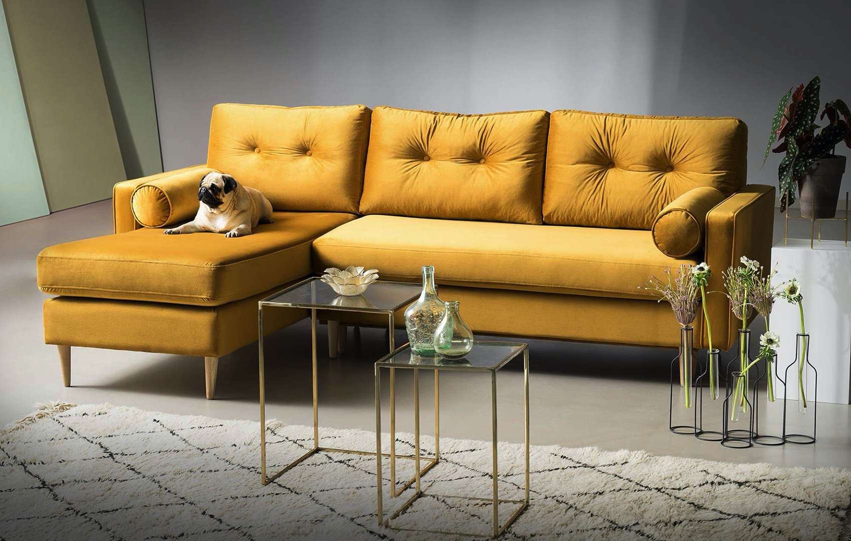 ESE kampinė sofa lova | 233x160 cm