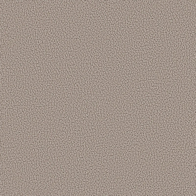Tissu Taupe, bouclé