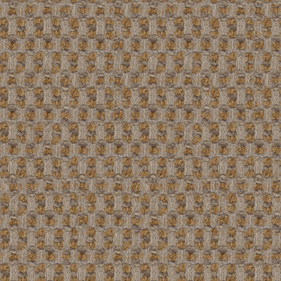 Tissu Teddy, bouclé