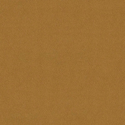 Tissu Golden Velvet, velours