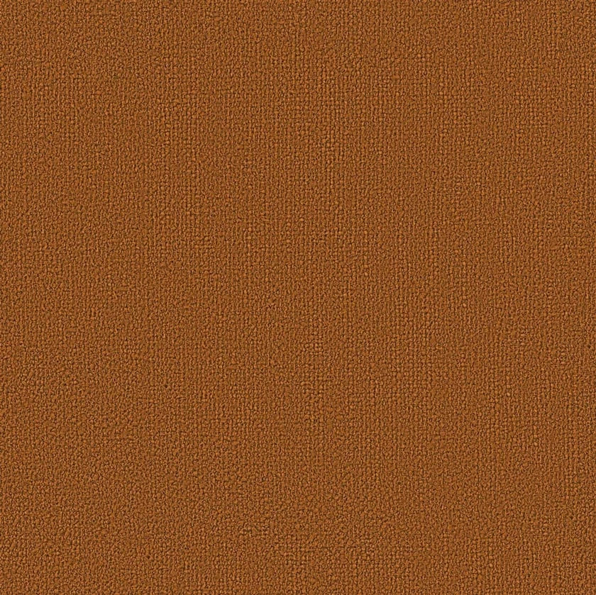 RUST | Échantillon de tissu