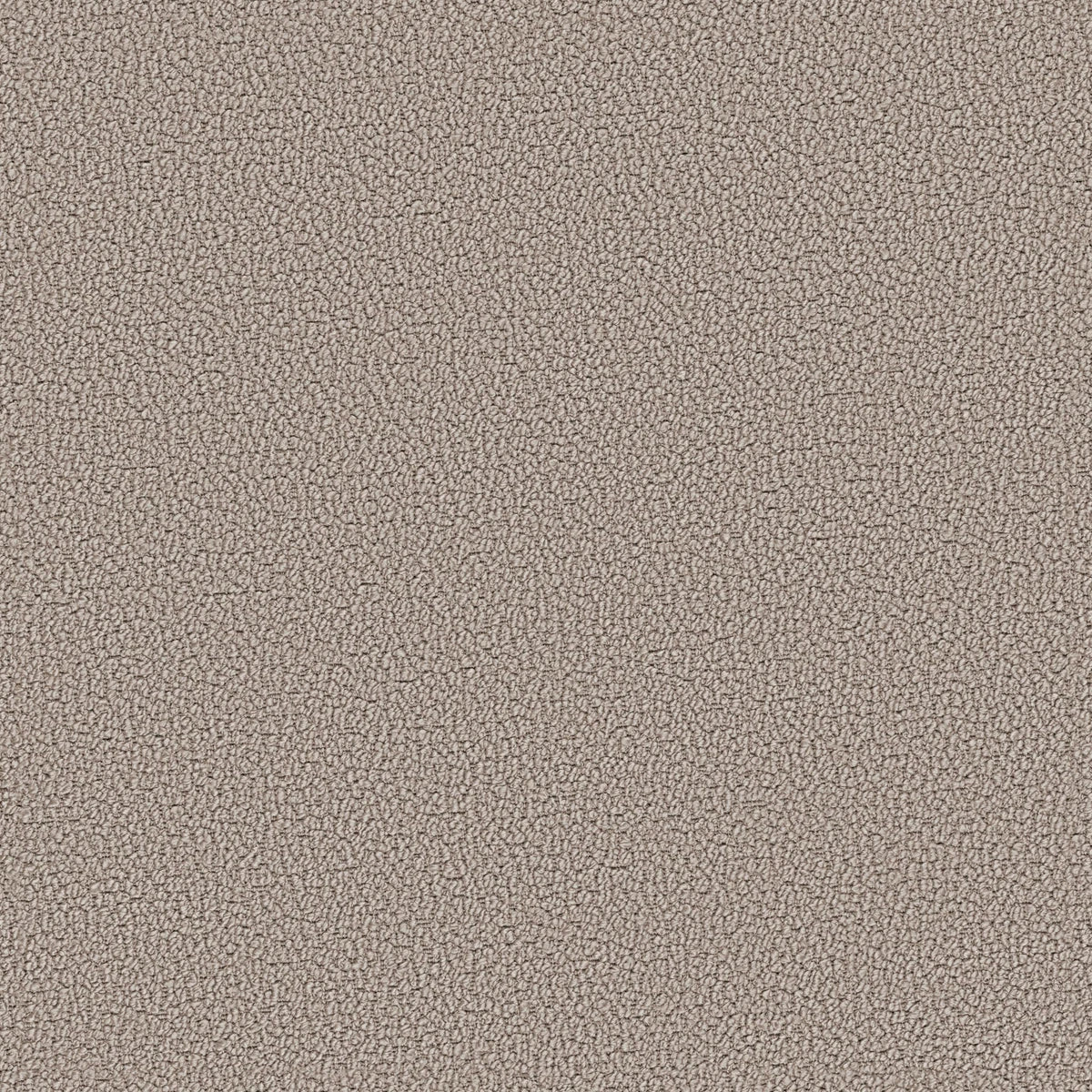 TAUPE | Échantillon de tissu
