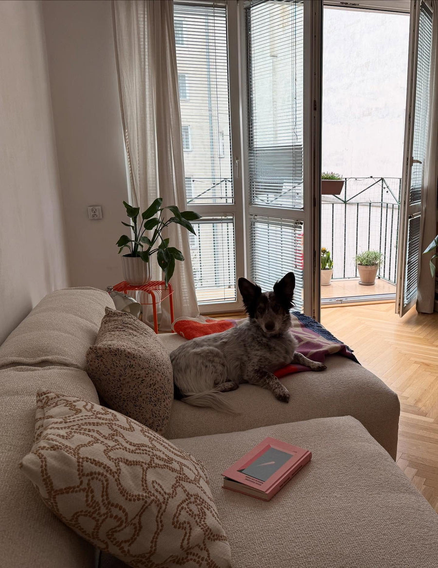 Canapé modulable Cloud en tissu beige devant une porte-fenêtre ouverte sur un balcon, avec un chien assis sur le dossier