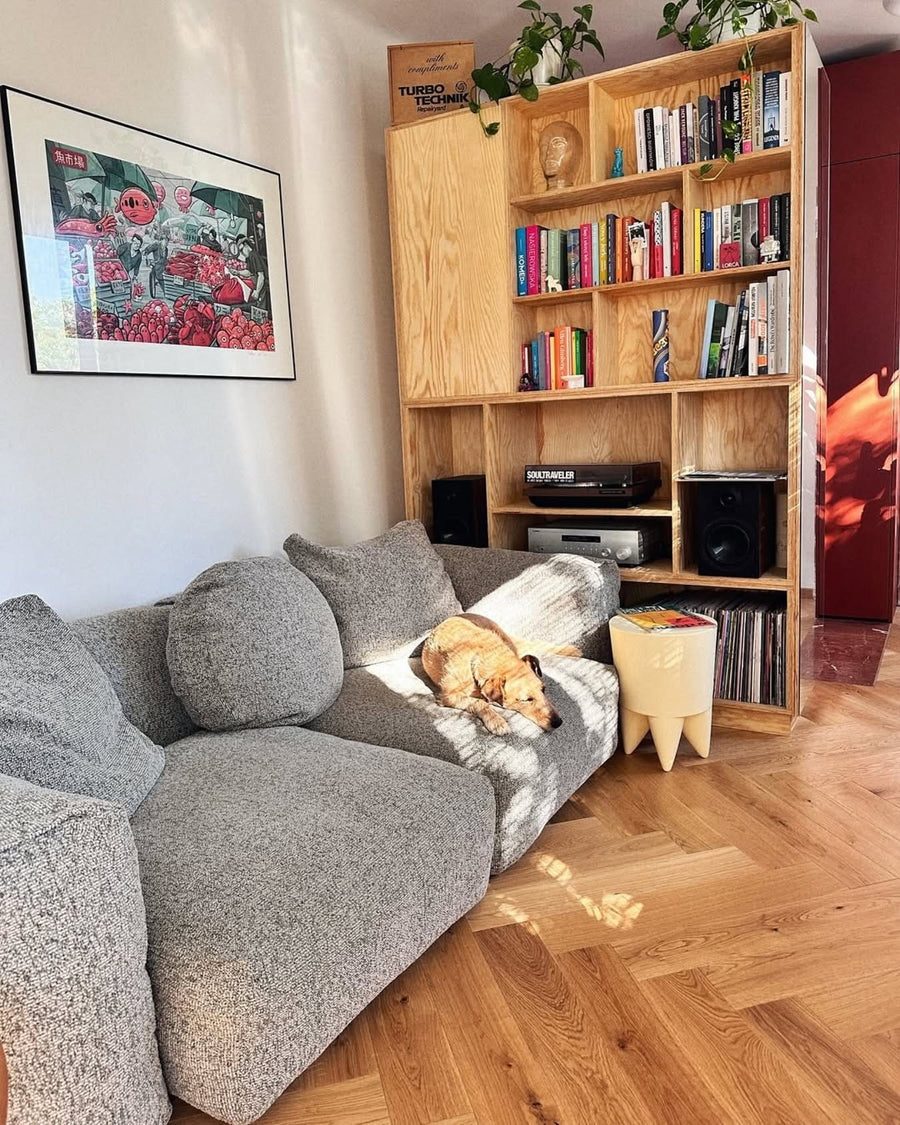 Canapé modulable Cloud en tissu bouclé gris chiné devant une bibliothèque en bois, un chien couché sur les coussins