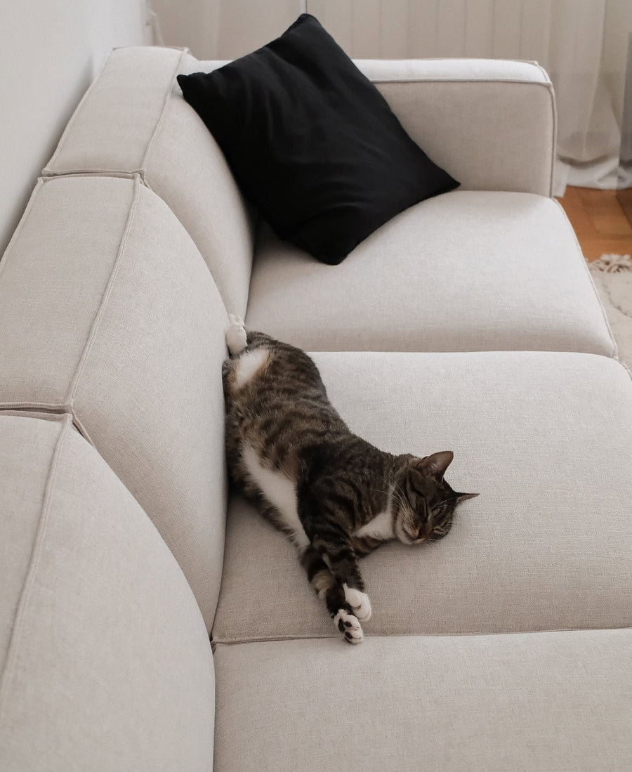 Assise du canapé modulable Slay en tissu écru avec coussin noir et un chat tigré allongé au soleil
